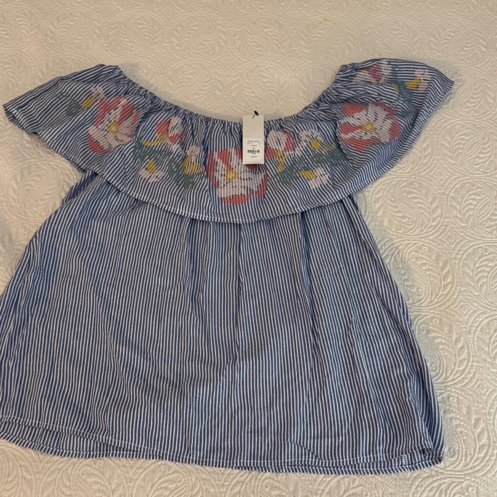 Francesca's Blue Striped Floral Blouse